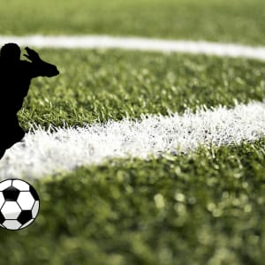 ฟุตบอลโลก 2022 - เม็กซิโก พบ อาร์เจนตินา